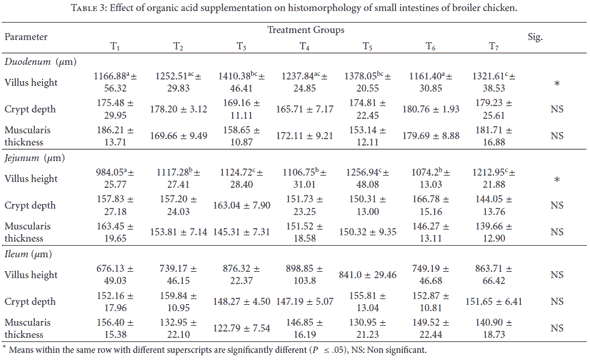 Effect of Dietary Supplementation of Organic Acids on Performance, Intestinal Histomorphology, and Serum Biochemistry of Broiler Chicken - Image 3