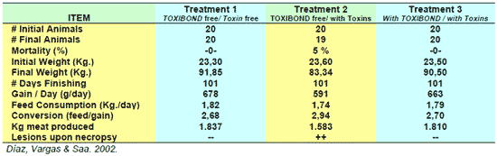 Efficacy of toxibond use in swine diets in the growing stage, as a toxin adsorbent in the presence of aflatoxin b1 (ab1) + ochratoxin - Image 1