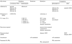 Toxic effects of mycotoxins: importance of biotransformation systems - Image 1