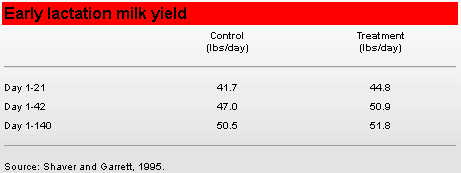 Use Yeast Culture to Feed the Rumen First - Image 2