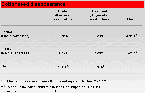 Use Yeast Culture to Feed the Rumen First - Image 3
