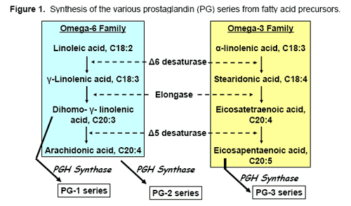 Fat and Fat-Soluble Vitamin Supplementation for Improving Reproduction of the Dairy Cow - Image 2