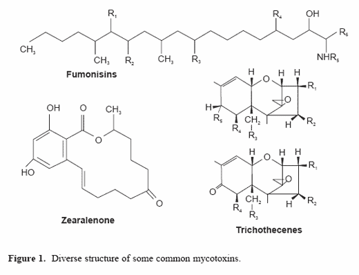 Understanding the adsorption characteristics of yeast cell wall preparations associated with mycotoxin binding - Image 1
