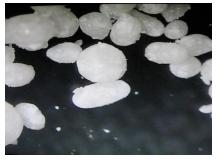 Rumen Bypass Lysine for use in Dairy Nutrition - Image 2
