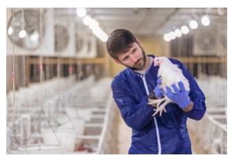 Georgia Precision Poultry Farming Conference - May 4, 2021 (Virtual) - Image 1