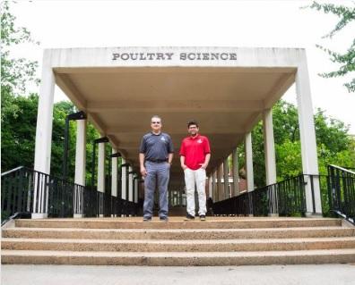 Poultry science department builds faculty teams to face complex industry demands - Image 1