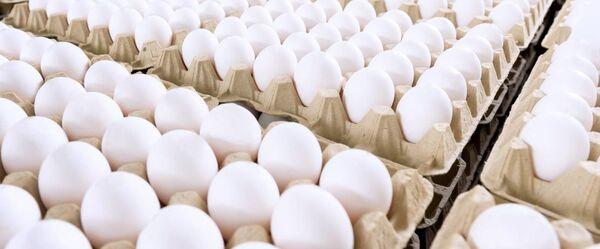 New digital collaboration for a sustainable food production - Image 1