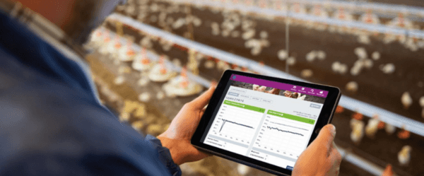 Customer case study for optimal performance and animal welfare - Image 1