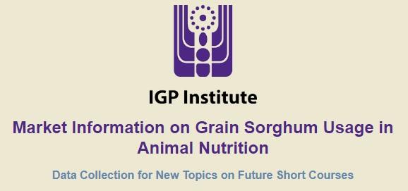 IGP Institute Survey: Market Information on Grain Sorghum Usage in Animal Nutrition - Image 1