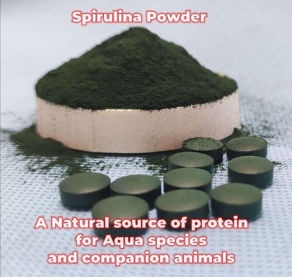 AMINO ACIDS MARKET - Image 10