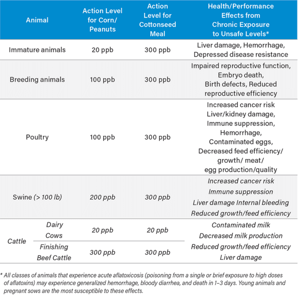 Changing Feed Industry Imperatives Call For A Closer Look At On-Site Aflatoxin Test Methods - Image 2