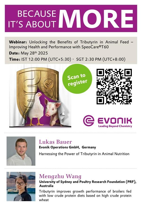 Benefits of Tributyrin in Animal Feed: Webinar by Evonik - Image 1