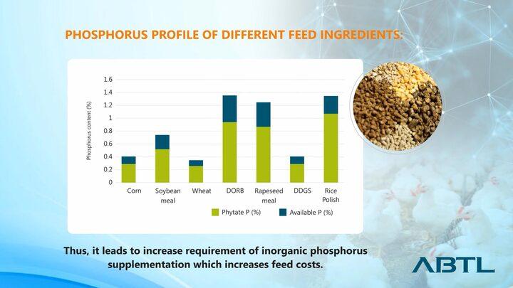 Microgranulated velocious phytase: ADPHOS