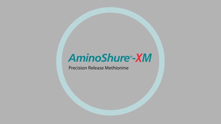 Precision Release Methionine: AminoShure-XM 