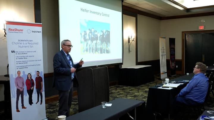 Maximizing Profitability in Beef-on-Dairy Systems”