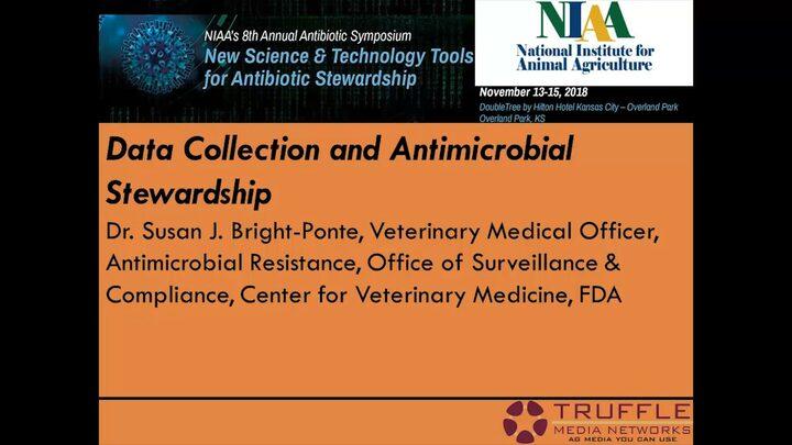Data Collection and Antimicrobial Stewardship
