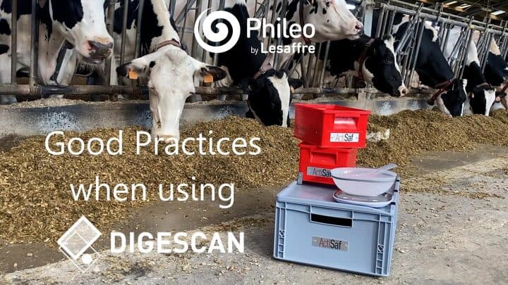 Dairy Cattle: Seving kit for evaluation of feed digestibility | Engormix