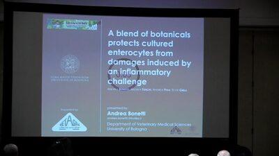 A blend of botanicals protects cultured enterocytes from damages induced by an inflammatory challenge