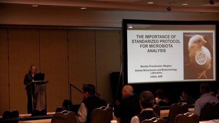 The importance of standardized protocol for microbiota analysis