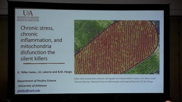 Chronic stress, chronic inflammation, and mitochondria disfunction: the silent killers