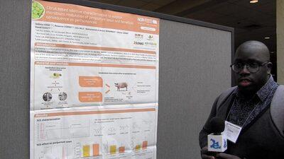 Citrus-based additive characterization to explain microbiota modulation of peripartum sows and beneficial consequences