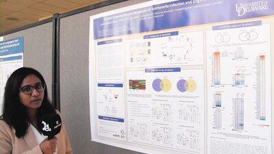 Chicken enteroid kinome responses to Salmonella infection and organic acid/essential oil blend