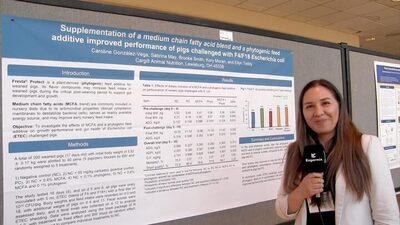 Supplementation of medium-chain fatty acid blend and phytogenic feed additive improved performance of pigs with E. coli