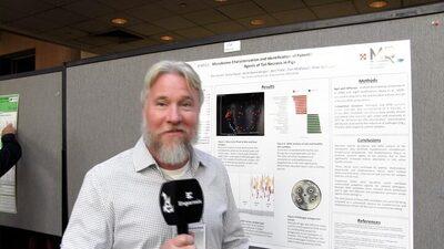 Microbiome characterization and identification of potential causative agents of tail necrosis in pigs