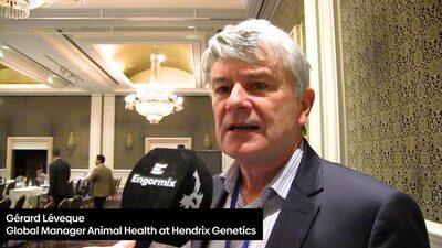 Gérard Léveque comments on poultry genetics and the consumer's perception