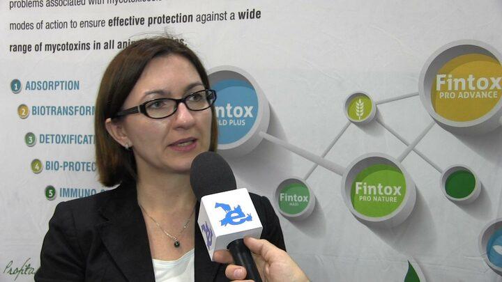Mycotoxins, the silent enemy