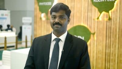 Diarrhoea domination in poultry and pigs - Stodi