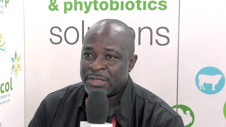 Phytogenics solutions for Nigeria