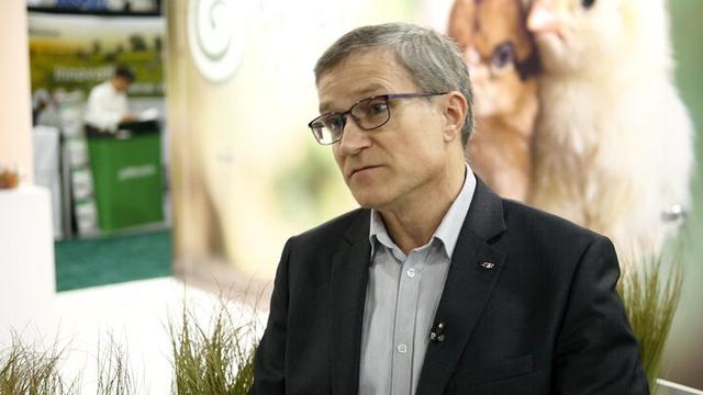 Reducing Salmonella and its impact in the poultry industry