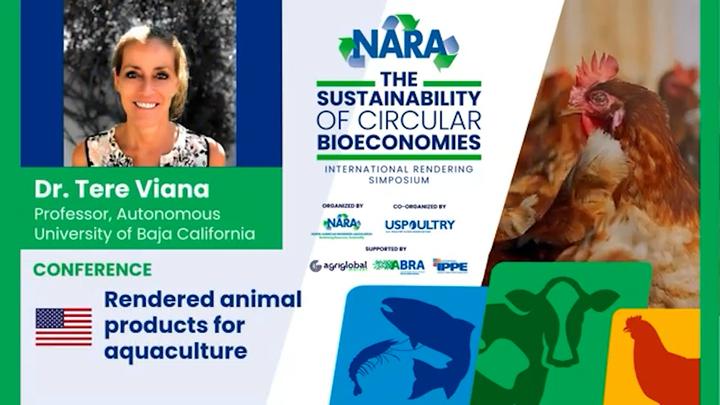 Rendered Animal Products for Aquaculture 