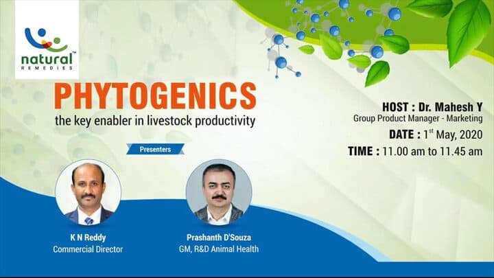 Phytogenics: The key enabler in livestock productivity