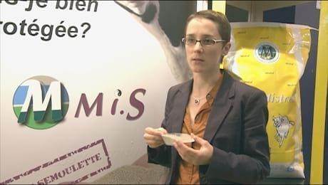 Toxin Binder in Semolina. Julia Laurain (Olmix)