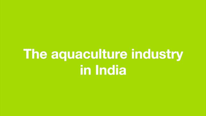 The aquaculture industry in India