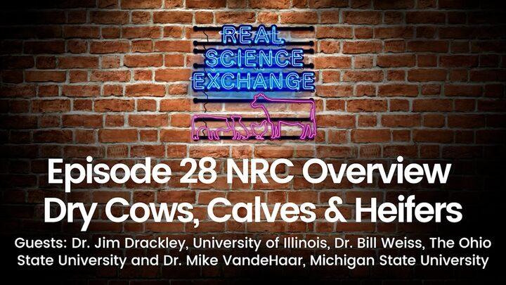 Real Science Exchange: NRC Series: Dry Cows, Calves and Heifers