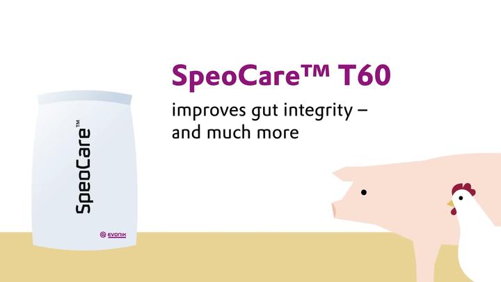 SPEOCARE T60 - Enhancing gut integrity