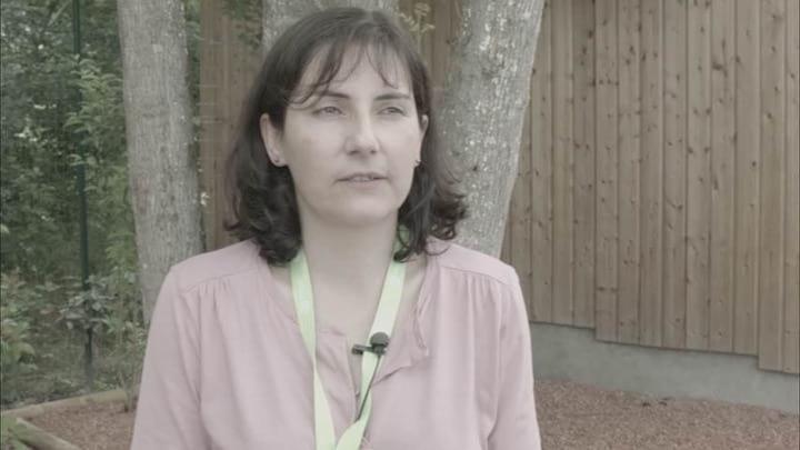 Reduction of the effects of mycotoxins in feed - Virginie Marquis