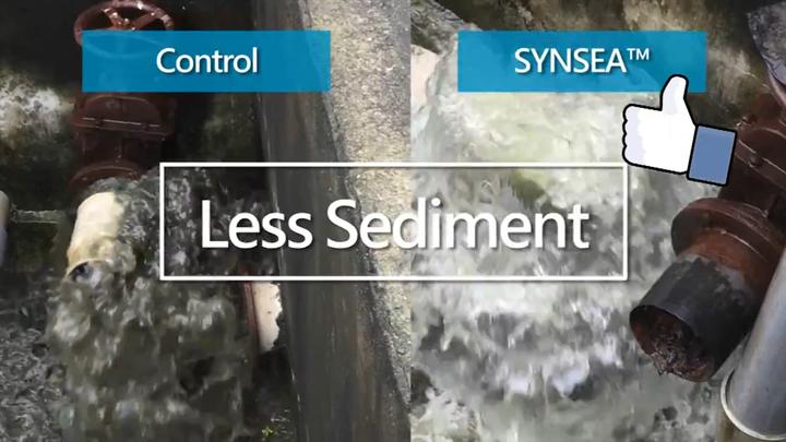 Field Trial at white shrimp farm. SYNSEA™  Feedad probiotics for aquaculture