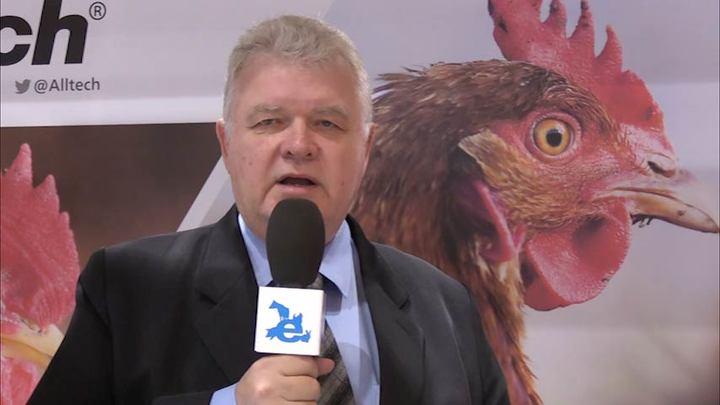 Nutrition, heat stress and disease in poultry