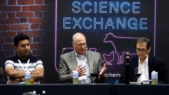 Amino Acid Nutrition and Nitrogen Efficiency in High-Producing Dairy Cows