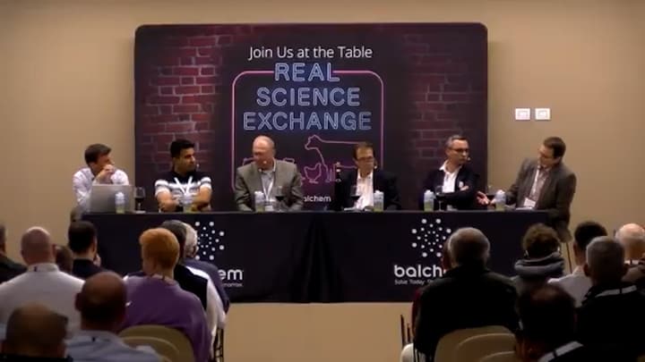 Amino Acid Profiles in Forages