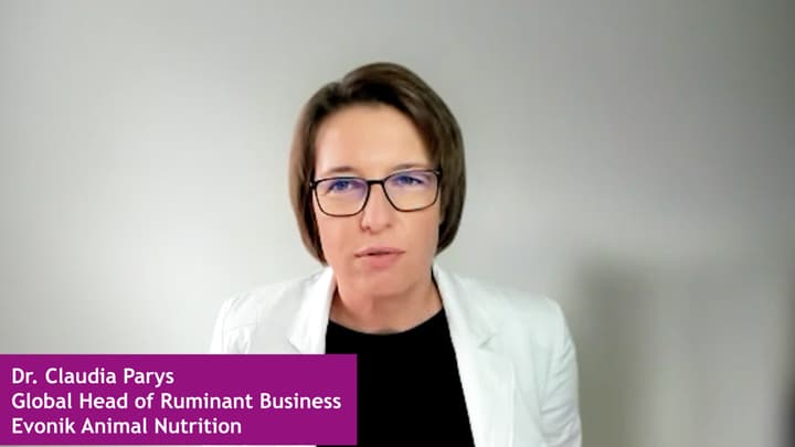 Managing Early Lactation and Heat Stress in Dairy Cows