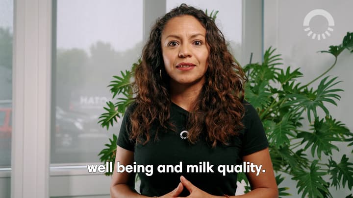 Light effect on milk drop