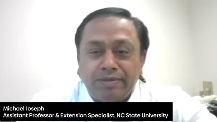 Precision Nutrition and Non-Antibiotic Feeding Strategies