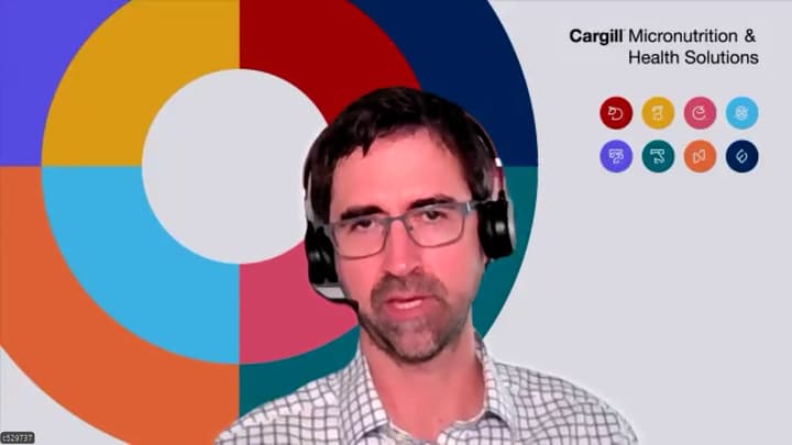 Mycotoxin Risk Management Strategies and Recommendations