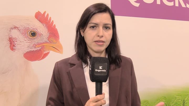 Probiotics Made Practical: Compatibility, Simplicity, and Performance