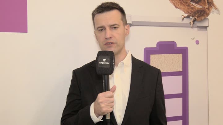 Energy Efficiency and Metabolic Solutions in Animal Nutrition